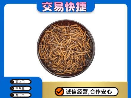 永州市江永高价回收散虫草